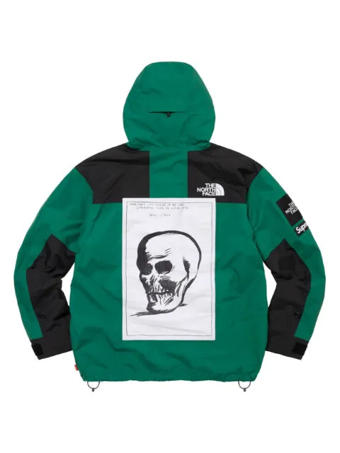 Supreme x The North Face mountain jacket