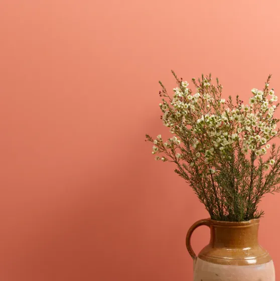 Earthy Wall Paint