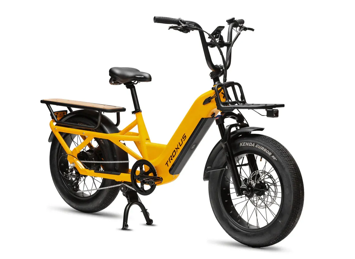 Troxus Lynx Cargo Class 2 Cargo E-Bike