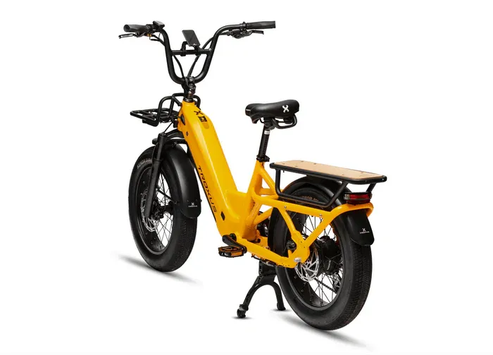 Troxus Lynx Cargo Class 2 Cargo E-Bike