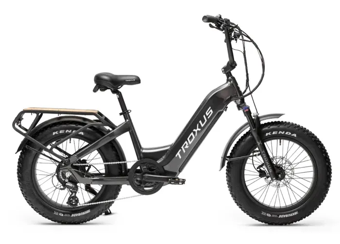 Troxus Lynx Cargo Class 2 Cargo E-Bike