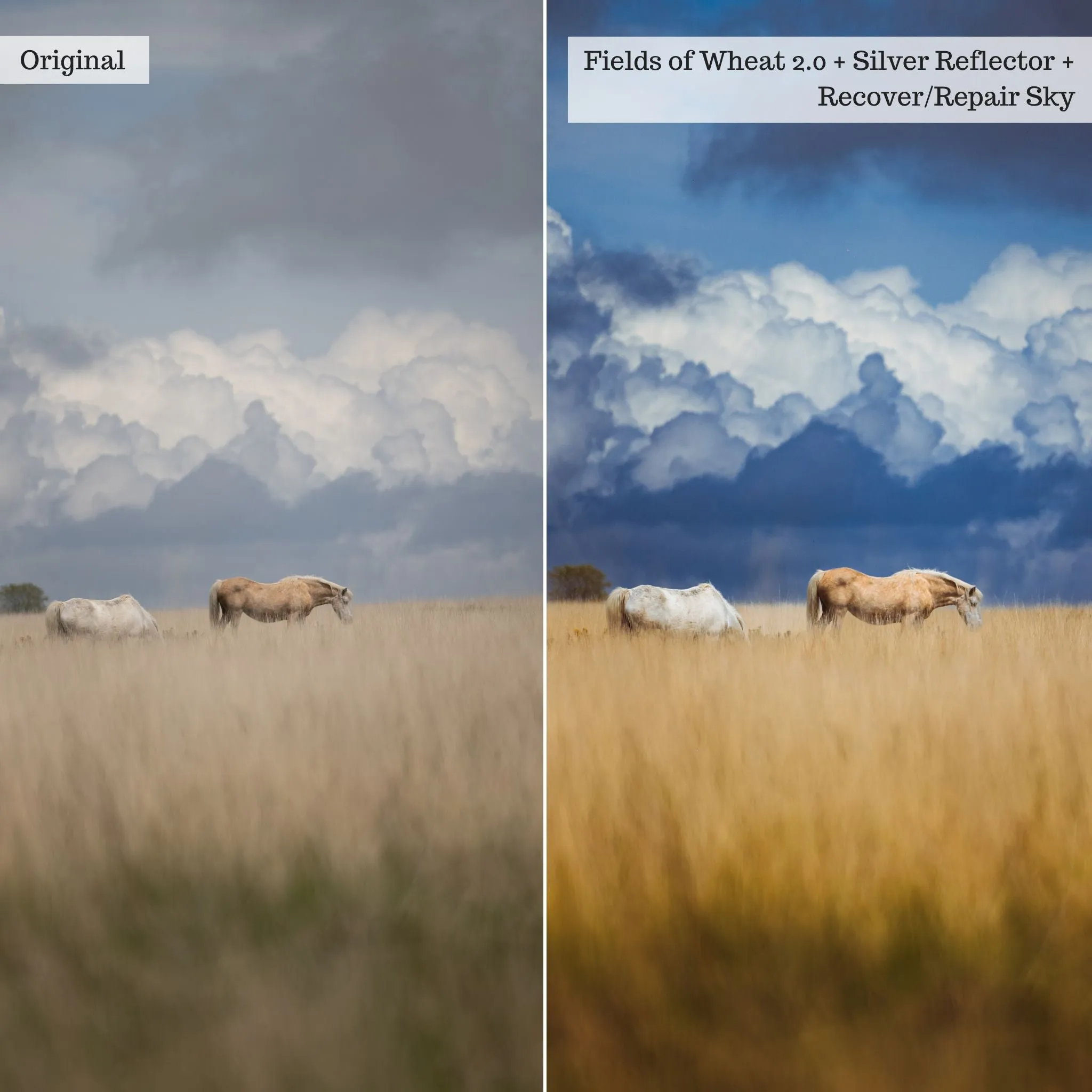 Wanderlust v2.0 Lightroom Presets & AI Tools – Desktop & Mobile